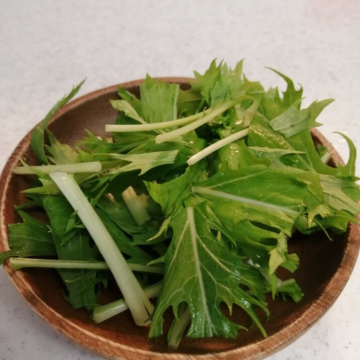 水菜の保存方法 簡単長持ち レシピ 作り方 By りおね 楽天レシピ 水菜の保存方法 簡単長持ち レシピ 作り方 By りおね 楽天レシピ